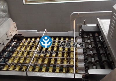 蛋類清洗輸送設(shè)備