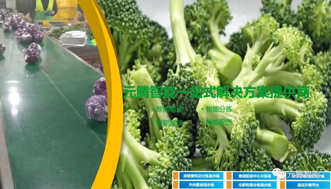 1582786379622747.jpeg 640-10.jpeg